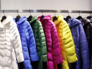 深圳龍崗布吉服裝批發(fā)市場(chǎng) 品牌女裝羽絨服低至一折，武漢鞋帽箱包貨源直供